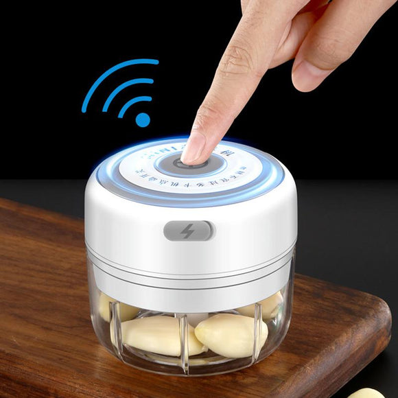 Electric Mini Food Blender Jennyhome